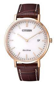 Citizen Cuero Cafe Hombre - Joyería Patagónica